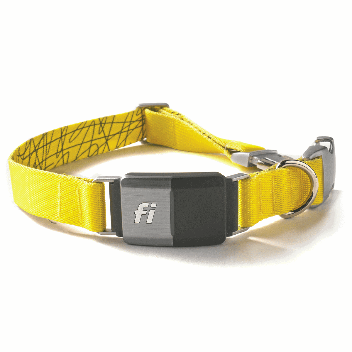 Fi Series 2 collar